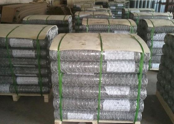 Low Carbon Steel 0.3mm Powder Coated Welded Wire Mesh 4mm Gabion Hex Wire Netting