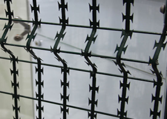 Snake Belly Razor Barbed Wire 500mm 10M Security Razor Wire Fencing