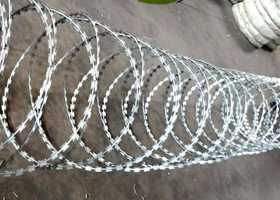 Snake Belly Razor Barbed Wire 500mm 10M Security Razor Wire Fencing