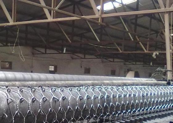 Low Carbon Steel 0.3mm Powder Coated Welded Wire Mesh 4mm Gabion Hex Wire Netting